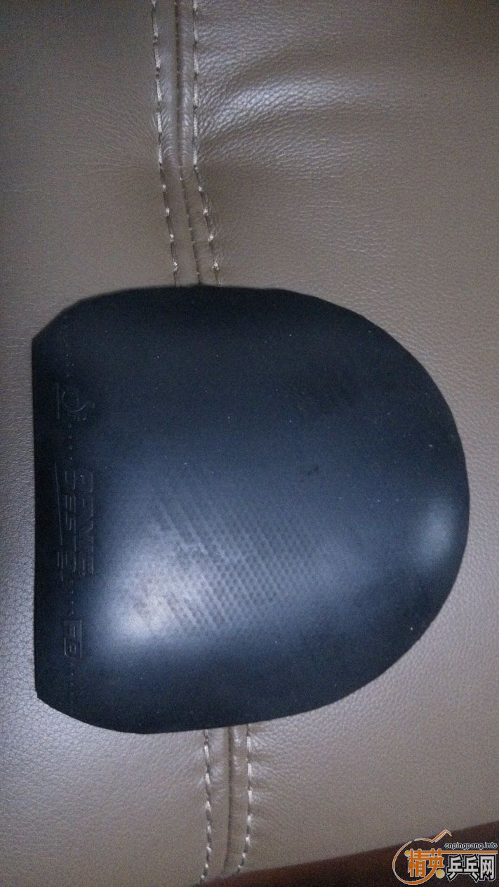 F1 ����һŵ�� Ψ���й� ��̤ZETA