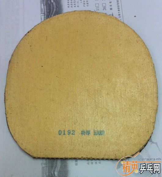 110Ԫ���ʳ���ɫ�µ�����������׽�