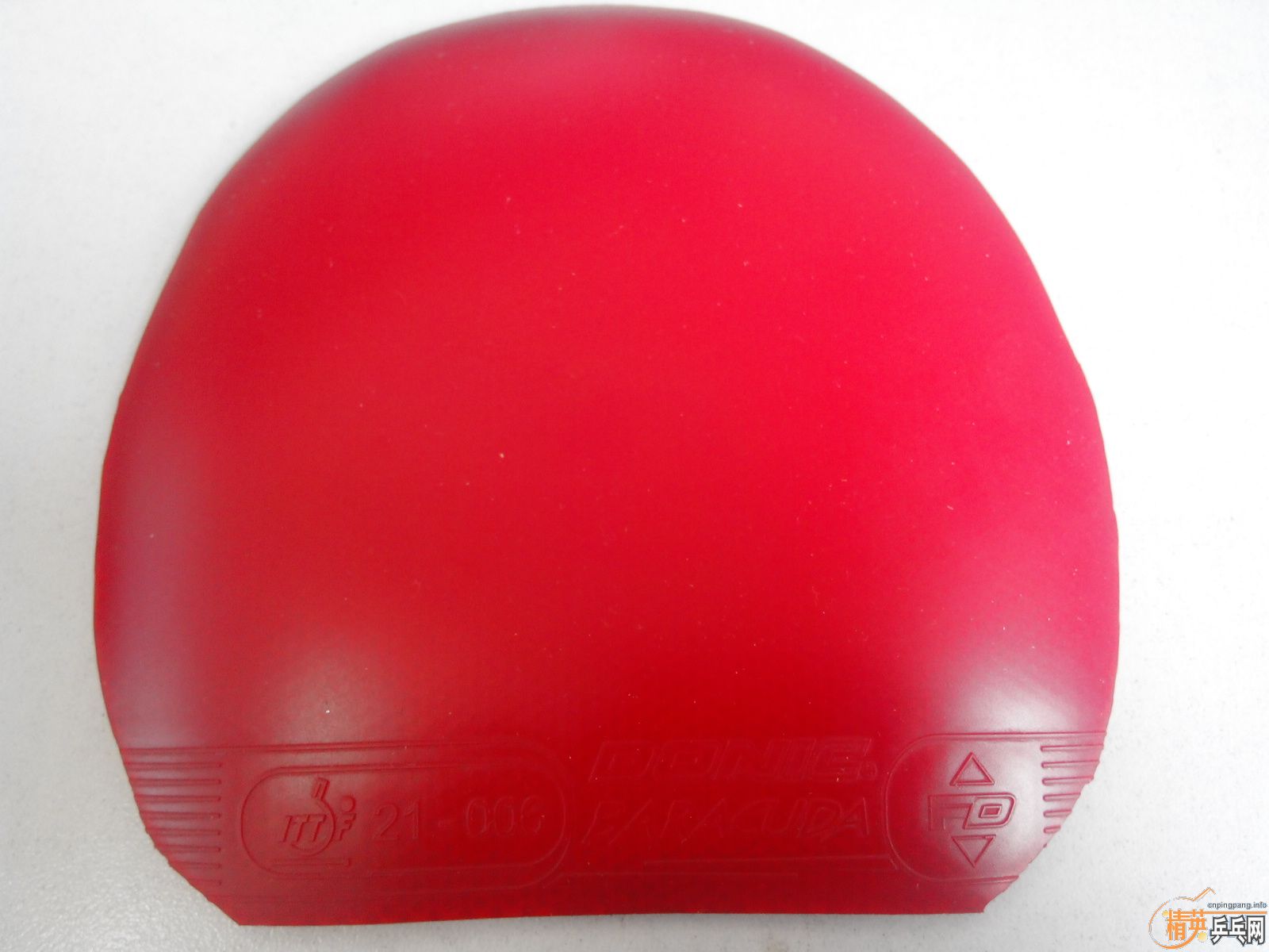 [ԭ��]ST��̼����ľ����54���տ񣬹��񣬰Ϳ�