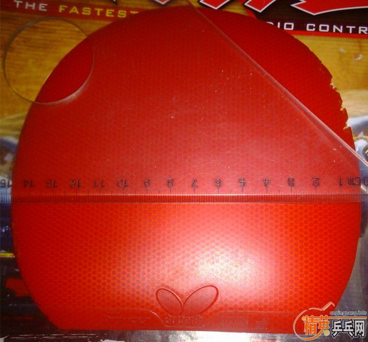 ���˴������һЩ��Ƥ����̳��ͼۡ����ø߿���С����