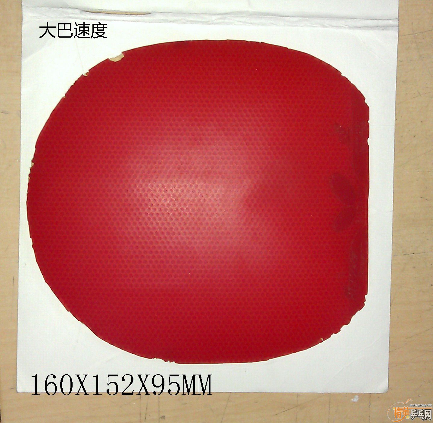 ��8���µĴ���ٶ�