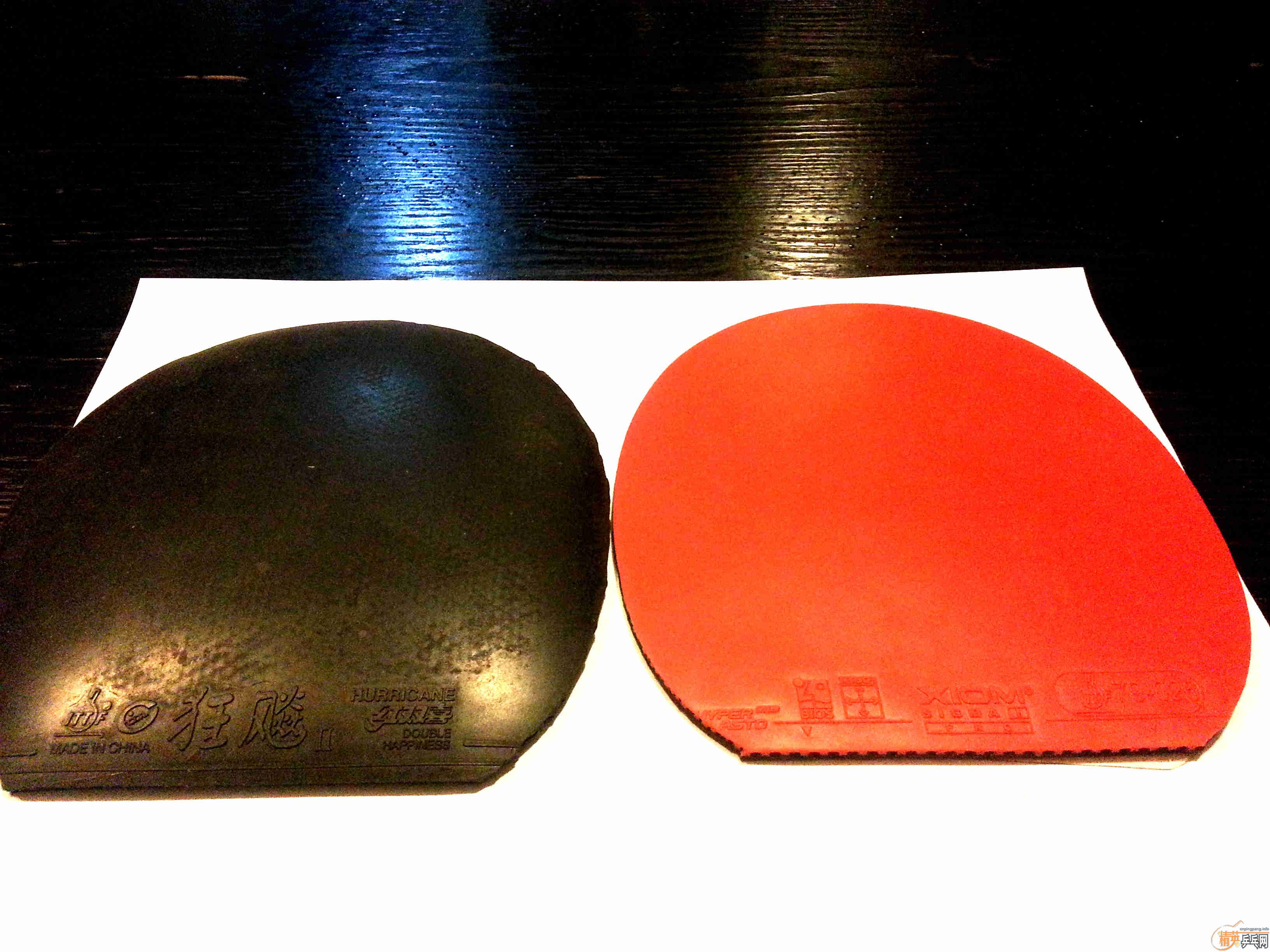 !!!2013���ż̿�ALC