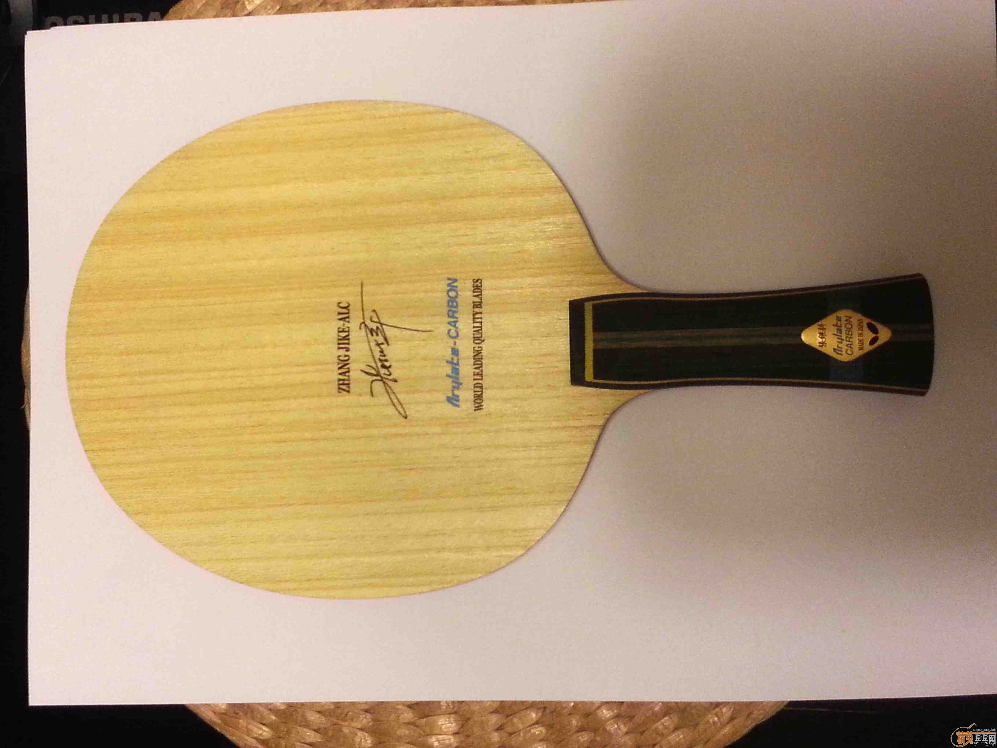 !!!2013���ż̿�ALC