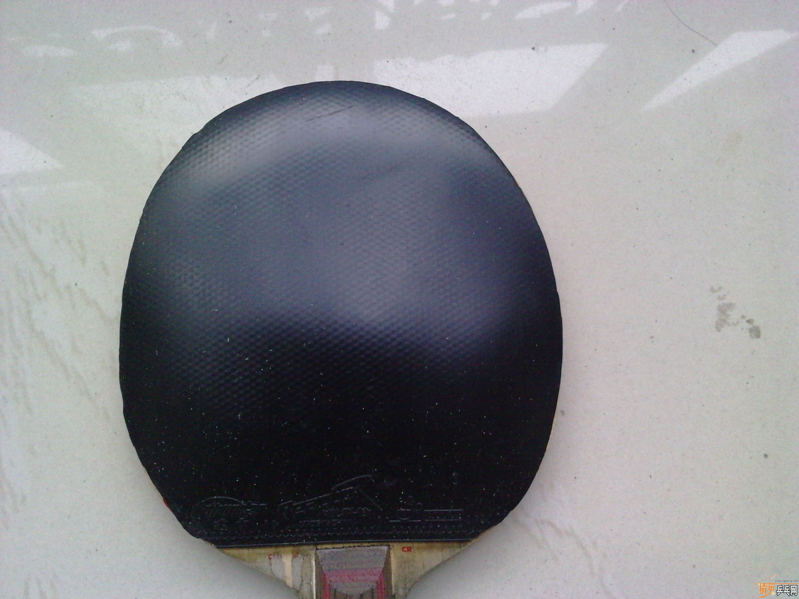 Ը��ԭ�����������CLCR,190���ʣ���������Ƥ