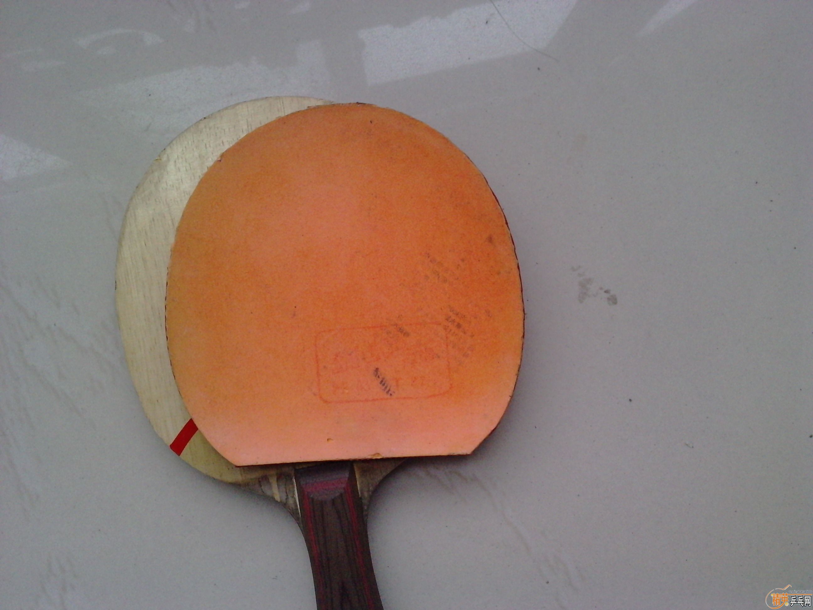 Ը��ԭ�����������CLCR,190���ʣ���������Ƥ