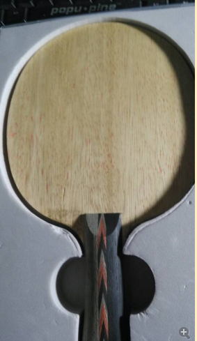 ���յ�6������9���켫506.����270���ʣ�֧����