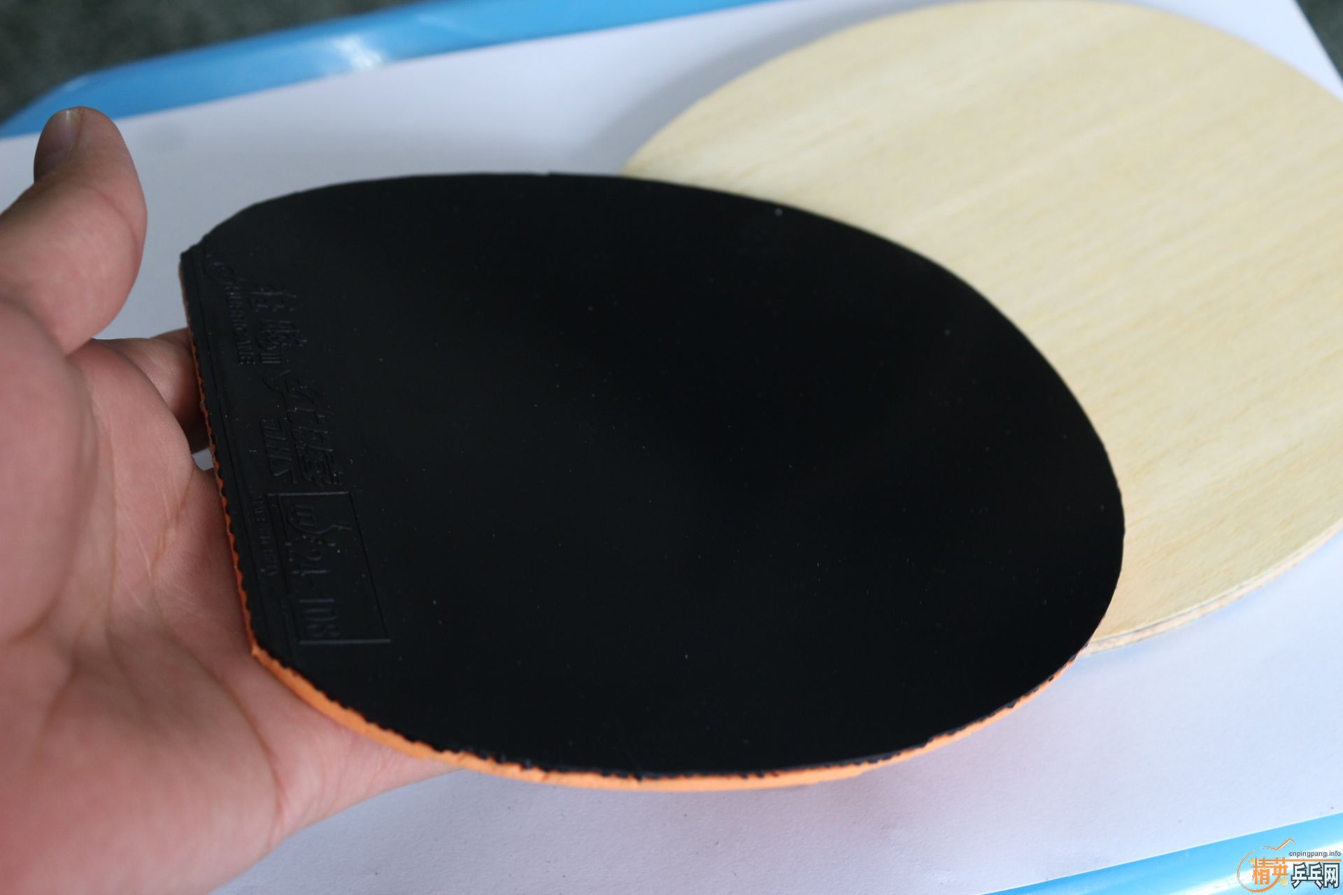 �����9�����Ź��� 850�� ��С��