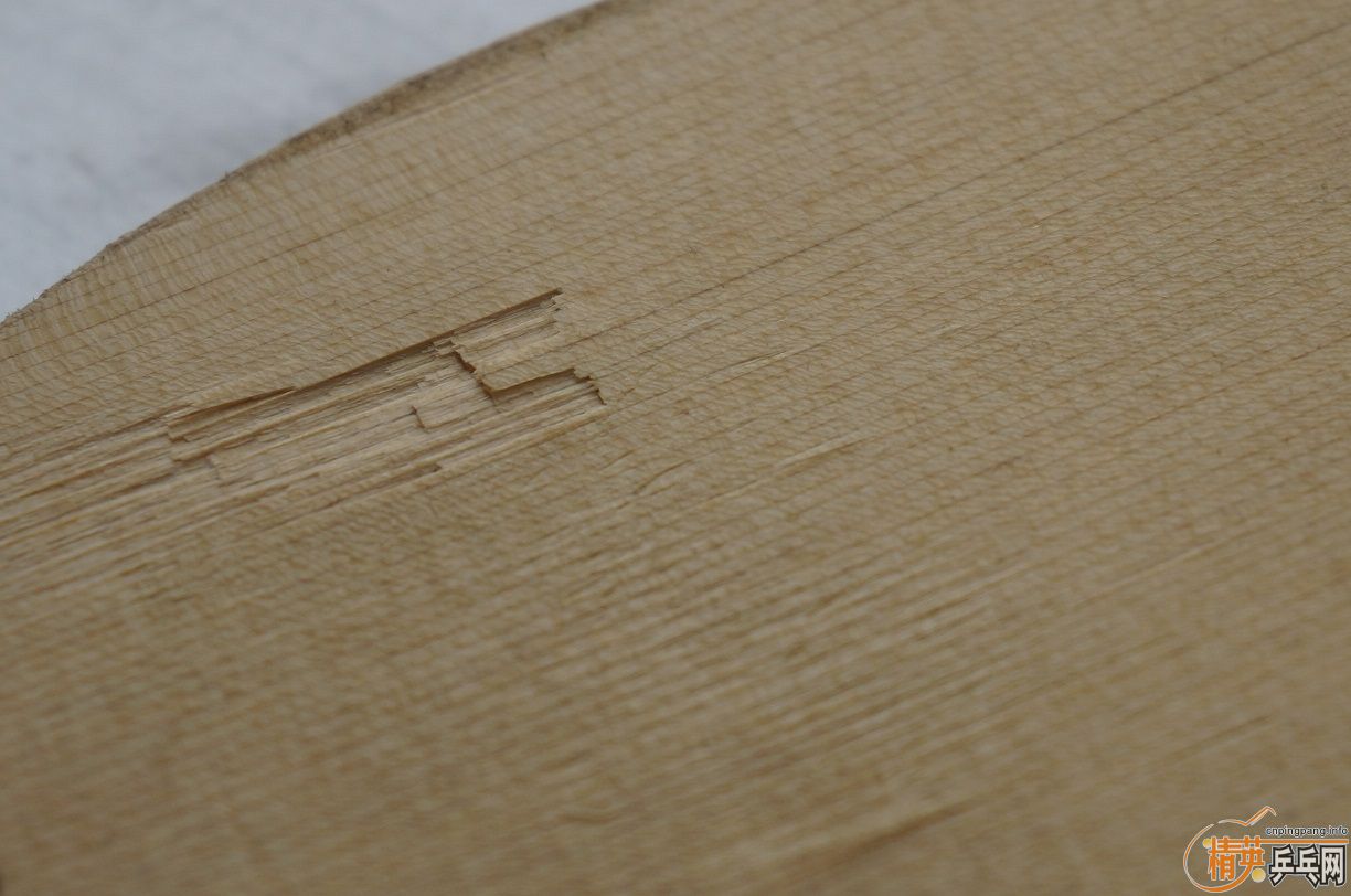 [ԭ��]�ؼ۳�ԭװ�ձ�����TSP��ֱ��NITTAKU ��ֱ--��ʣ4���ˣ����ָϽ�