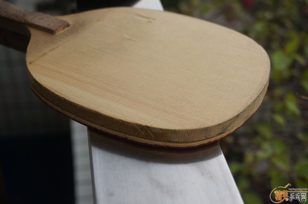 [ԭ��]�ؼ۳�ԭװ�ձ�����TSP��ֱ��NITTAKU ��ֱ--��ʣ4���ˣ����ָϽ�