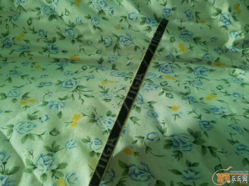 �������ϰ��ӣ�FL�Ƕ�����������G����FLˮ������I���л������۸����������ﶥ�������ɿ�