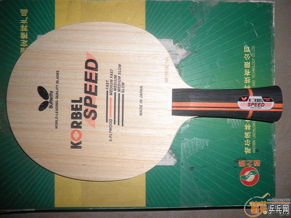 �����ۡ��Ʊ���SPEED