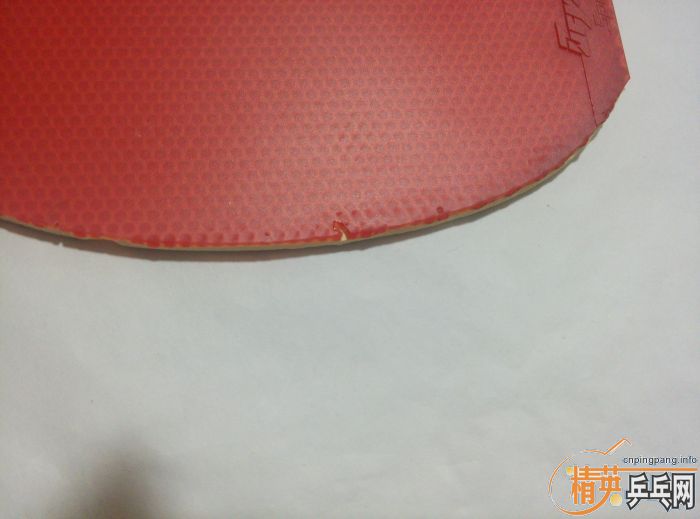 ����������ٶ�FX��bryce SPEED FX����ڸ�һ�飡