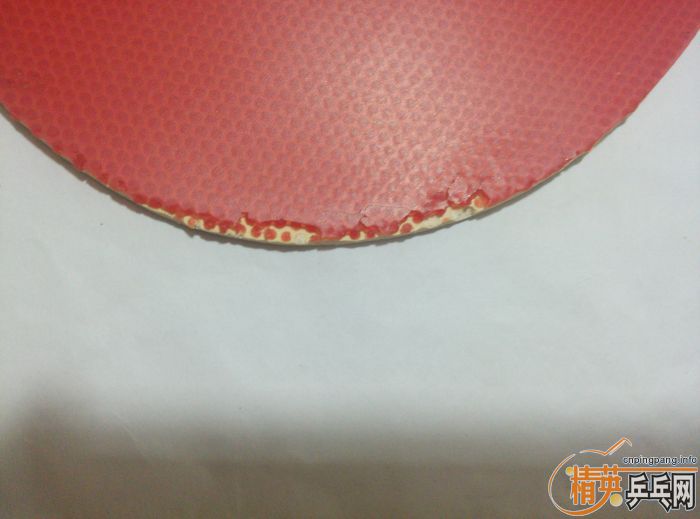 ����������ٶ�FX��bryce SPEED FX����ڸ�һ�飡