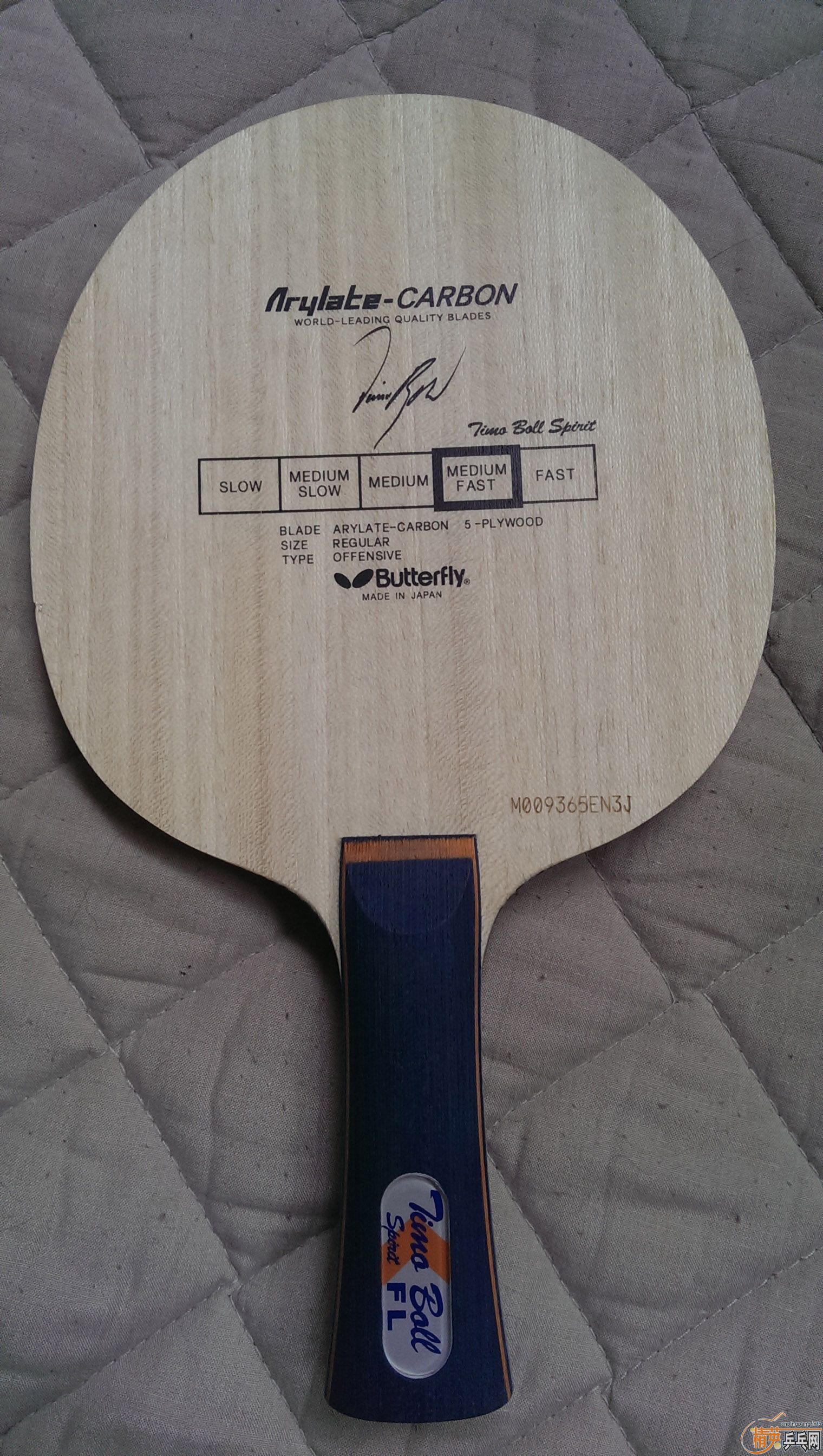 FL��������ST��clcrwrb������������