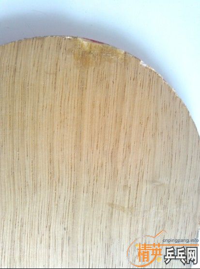 (�ѳ�)-----------�л���cl��88�ˣ�˭��������������----------