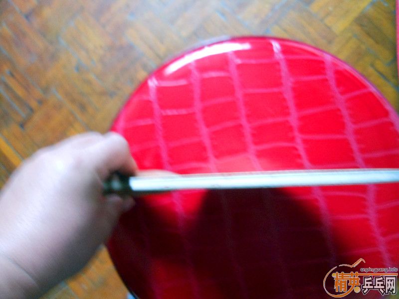 [ԭ��]��ֻ��һ��ͦ����˹��˹ֱ��84�ˡ���ɫ�Կ�