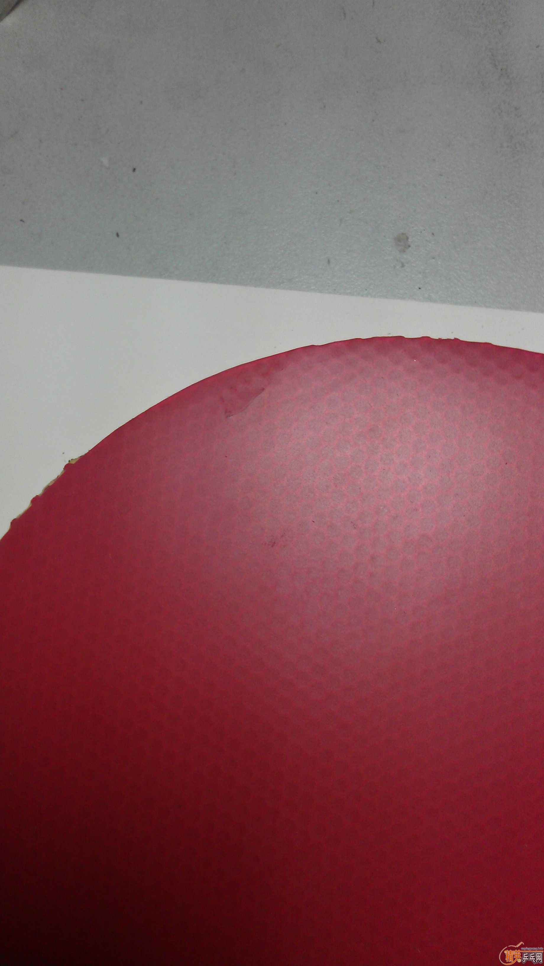 [ԭ��]����һŵ����ZAP,���108���ʡ���С�ߴ�������ʡ�����֡�������ī����