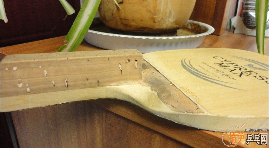 ============G�룬�ްױ�����Ʒ��CYPRESS MAX ===========