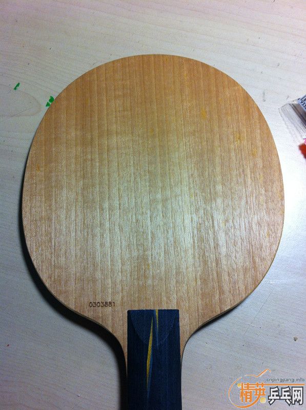 220���ʳ�����9.5�������ϵ������л����YE