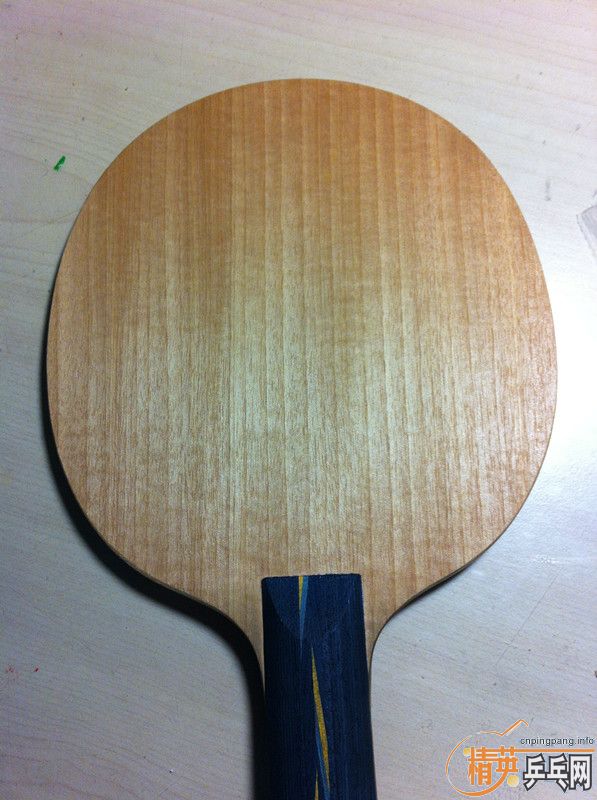 220���ʳ�����9.5�������ϵ������л����YE