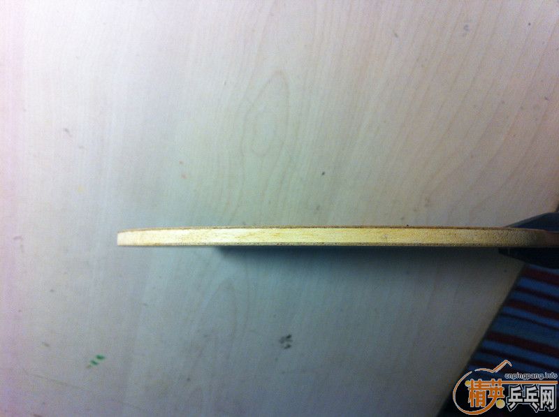 220���ʳ�����9.5�������ϵ������л����YE