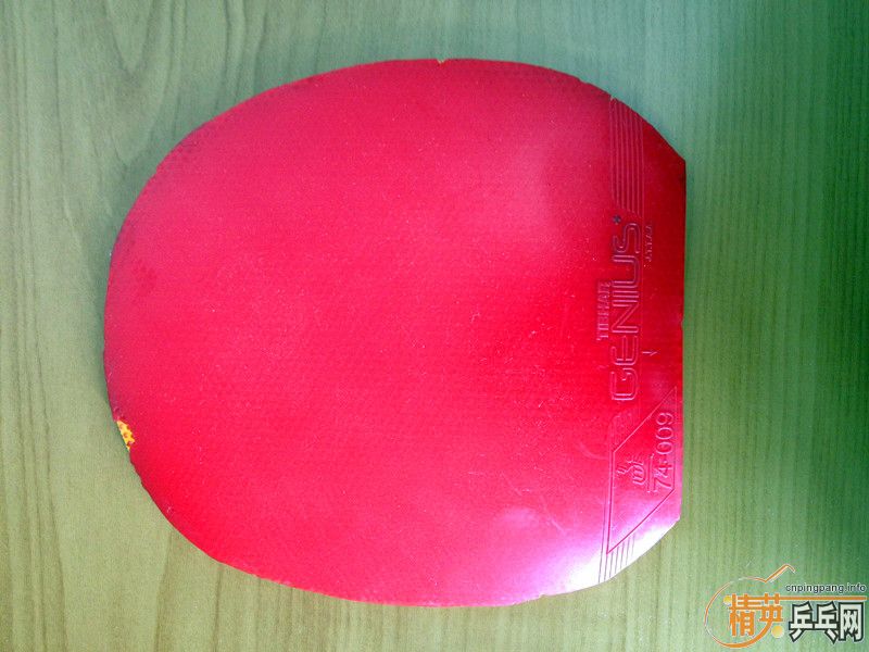 ͦ�����+����ɫ������