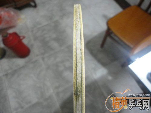 �����ͽ���FL