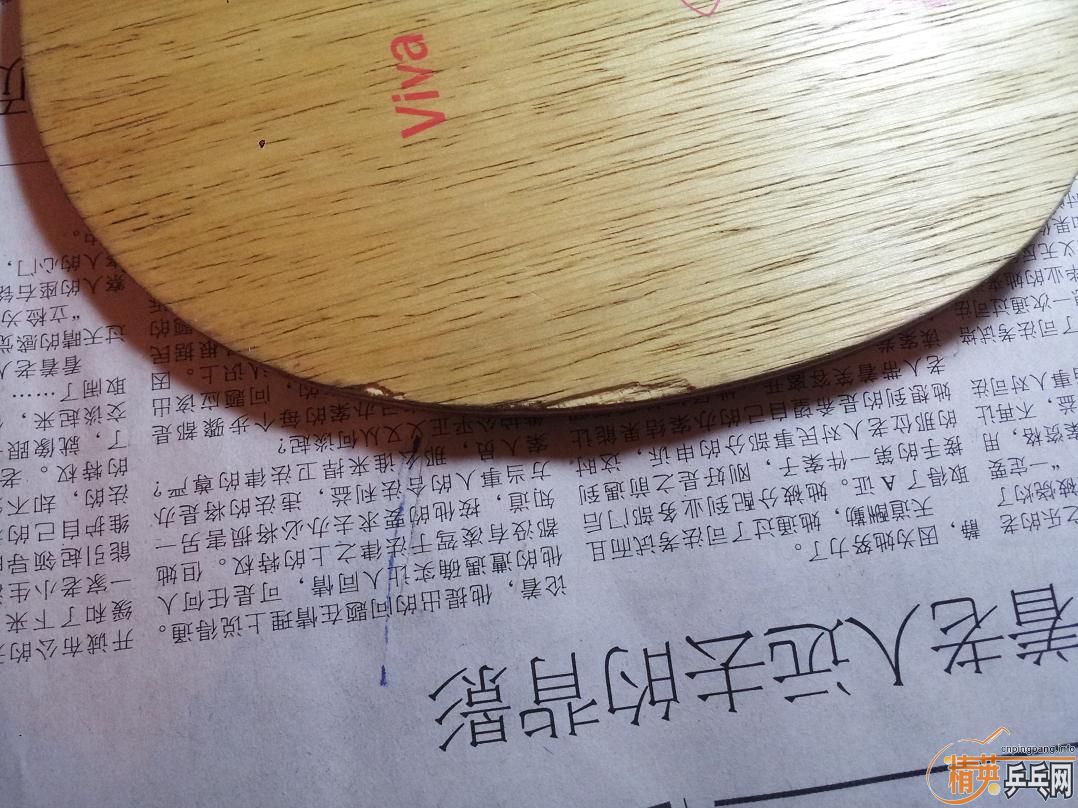 �л�oc-cr-wrb190��    JOOLA VIVA145��