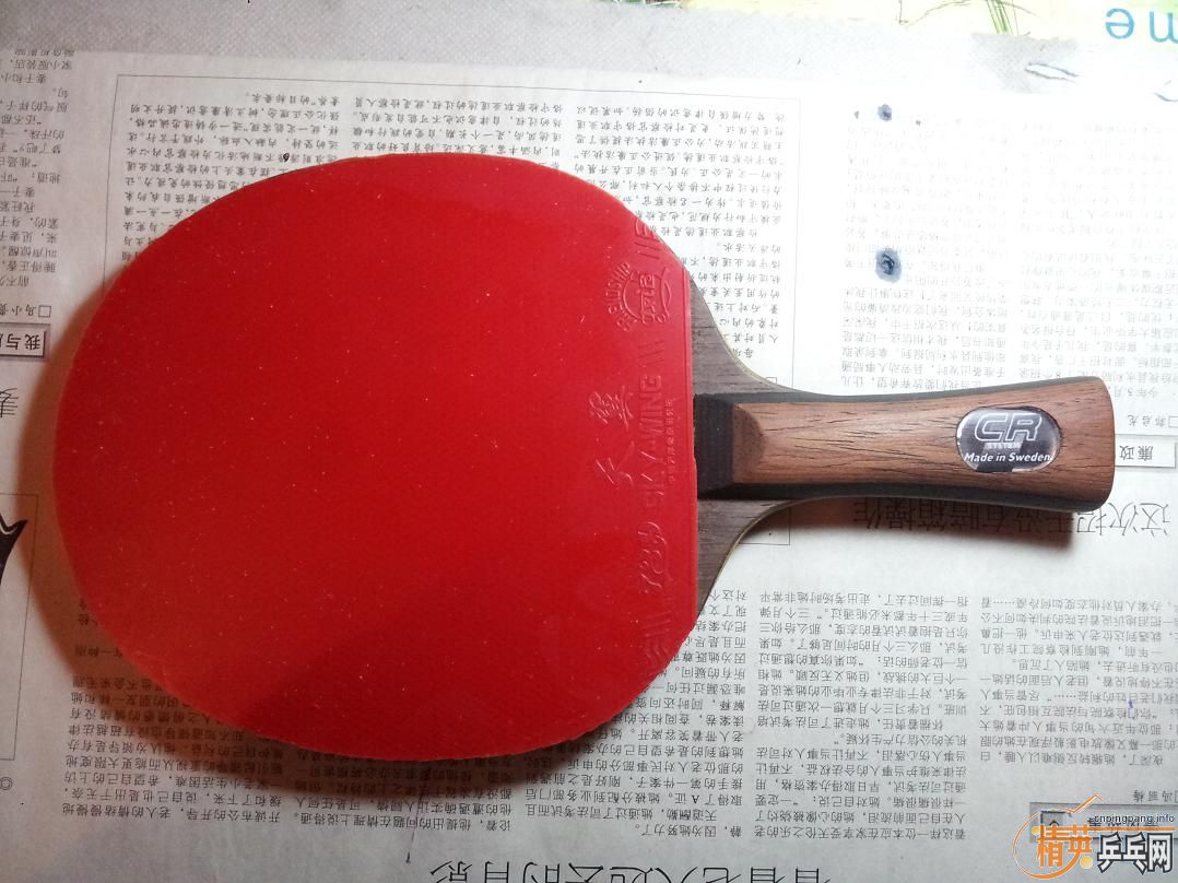 �л�oc-cr-wrb190��    JOOLA VIVA145��