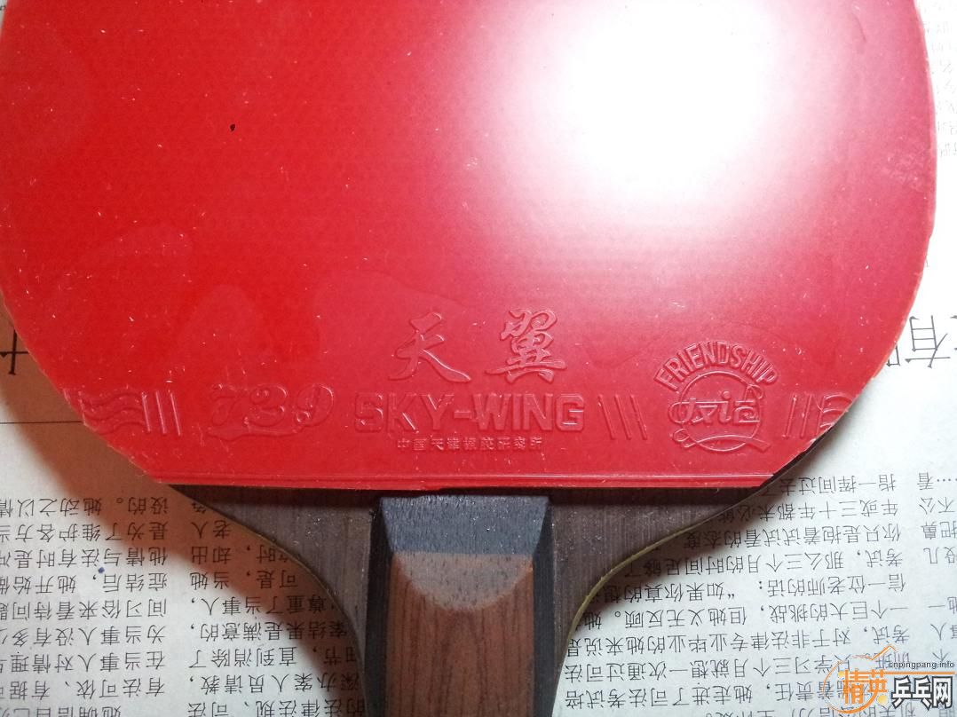 �л�oc-cr-wrb190��    JOOLA VIVA145��