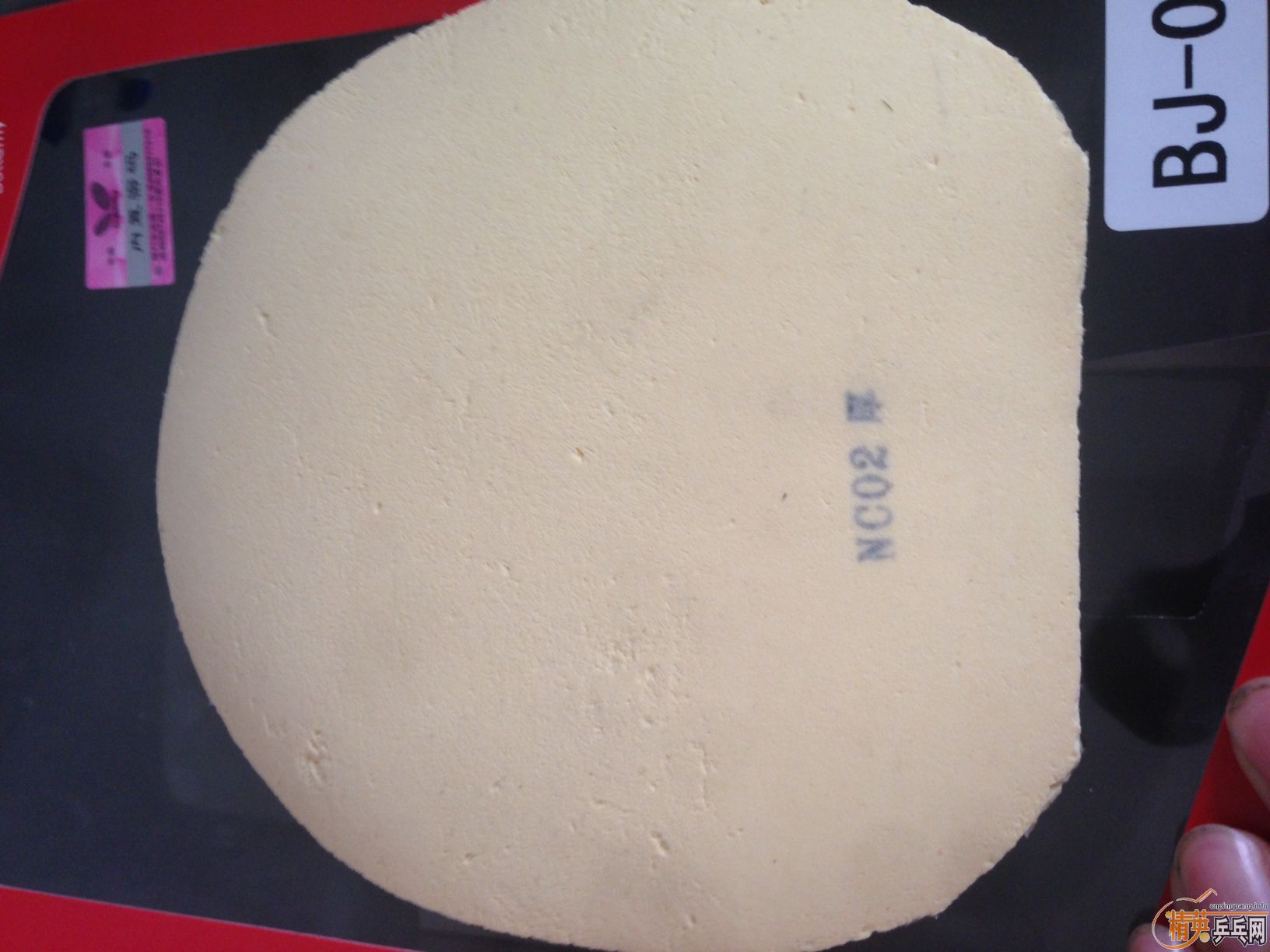 ��420���ʡ����� �Ʊ���������999�׽���Yasaka Vstage �׽���Stiga ����