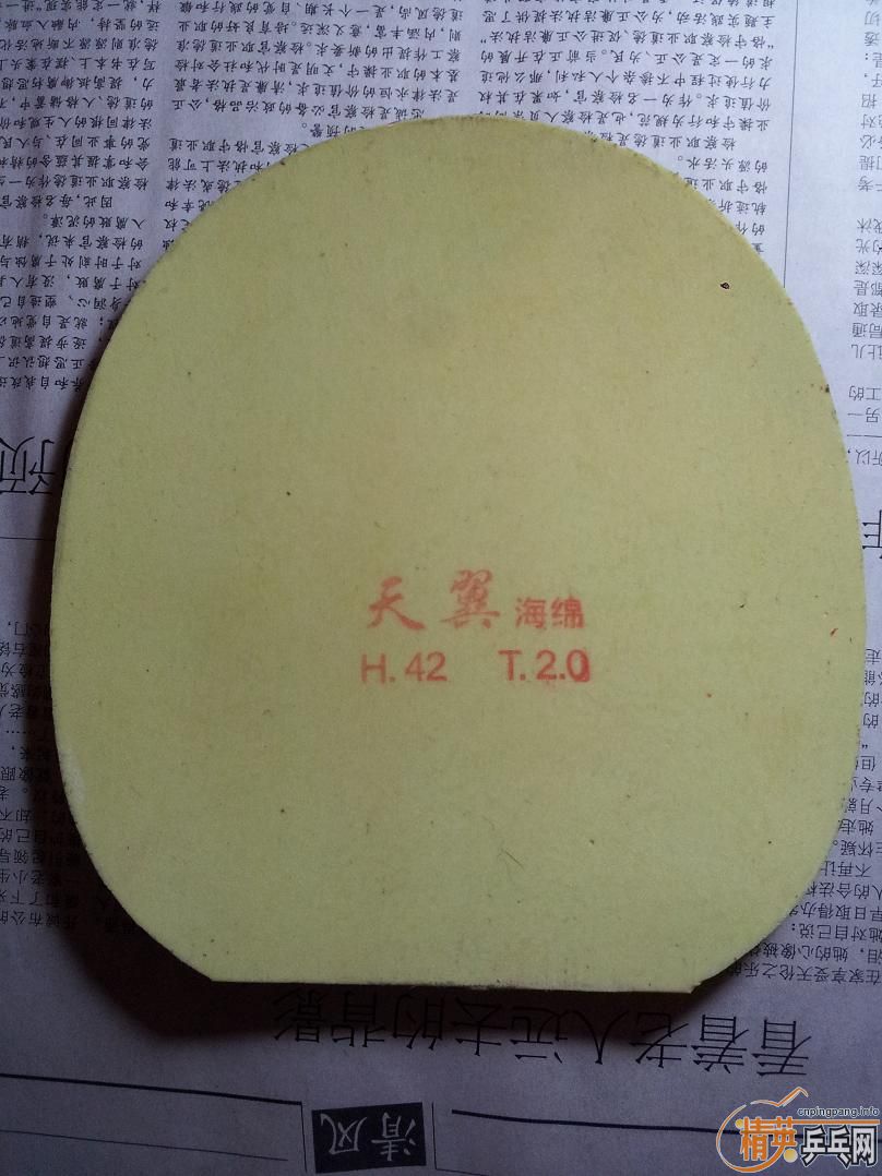 9.5���¶���� ACUDA S1  100��  9.9�� 279-08es 9.9�� ����