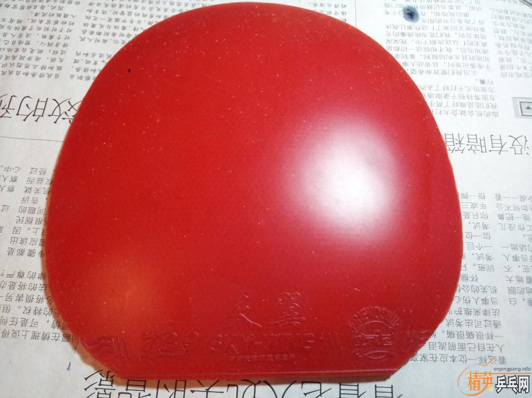 9.5���¶���� ACUDA S1  100��  9.9�� 279-08es 9.9�� ����