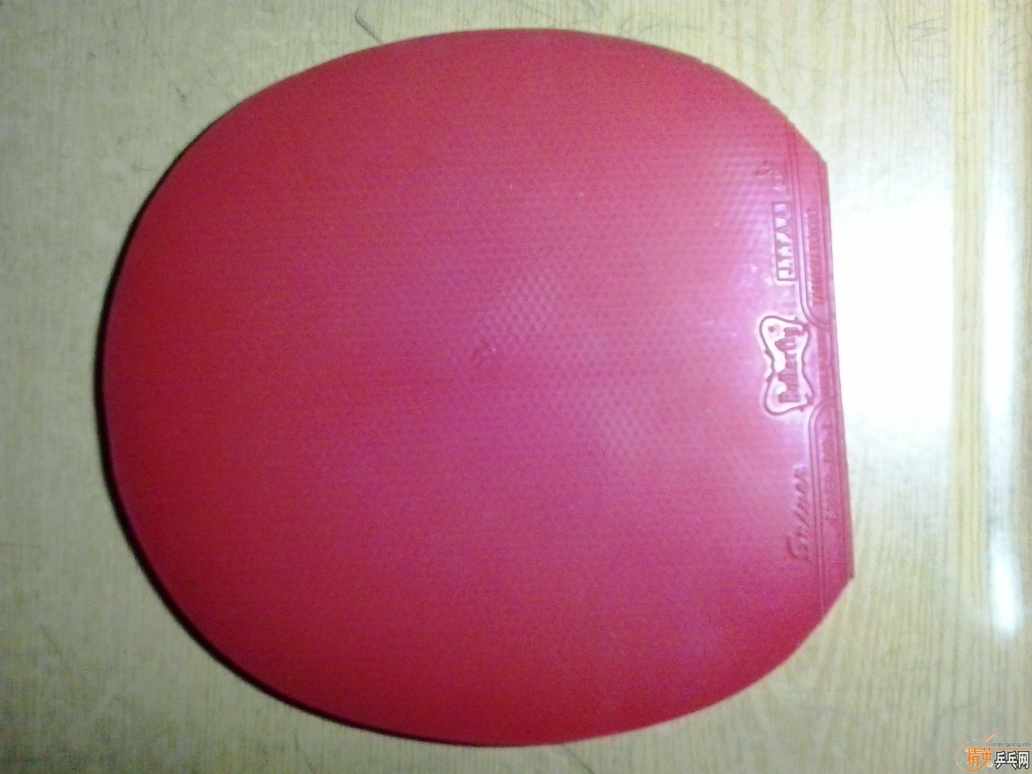 �����Ͽ������ľAN�ֱ�