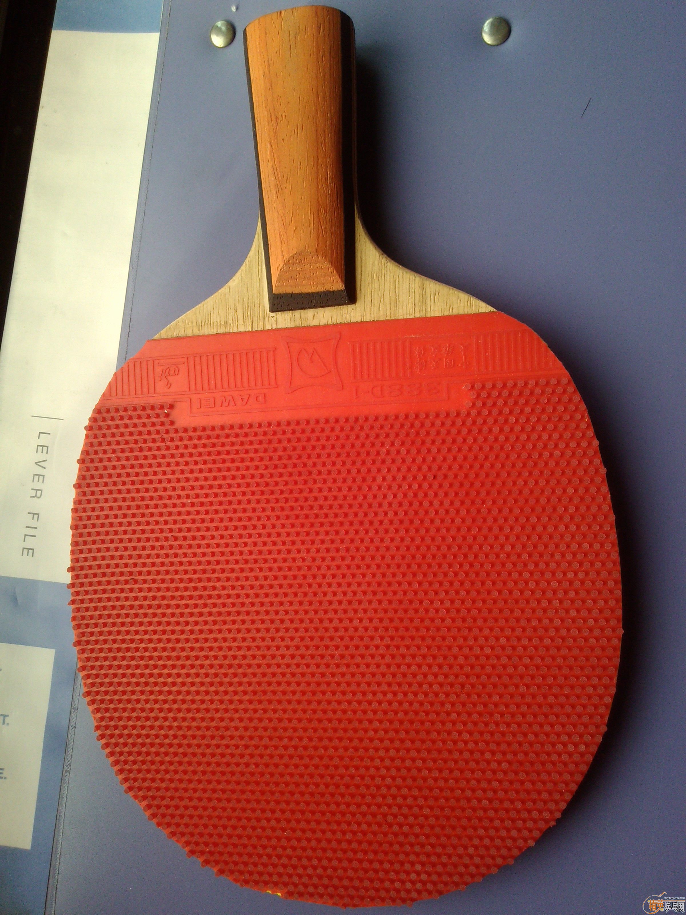 ����ɫ���׵ļ��ﺣΰ  ��άV5�������ã�