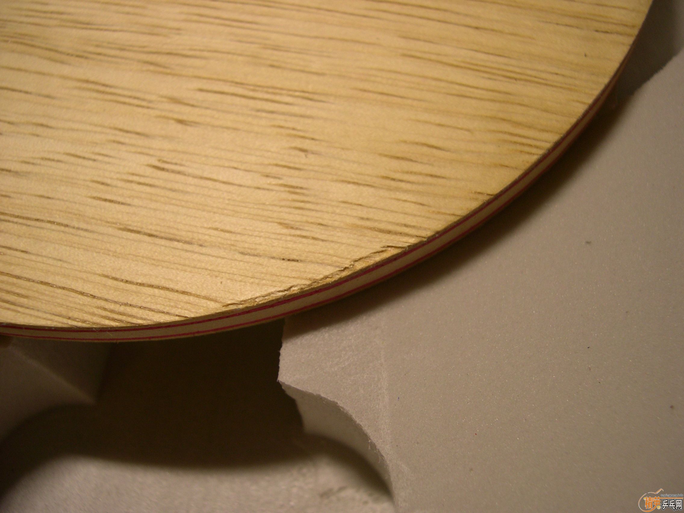 �����3������656�������ǹ�ע��