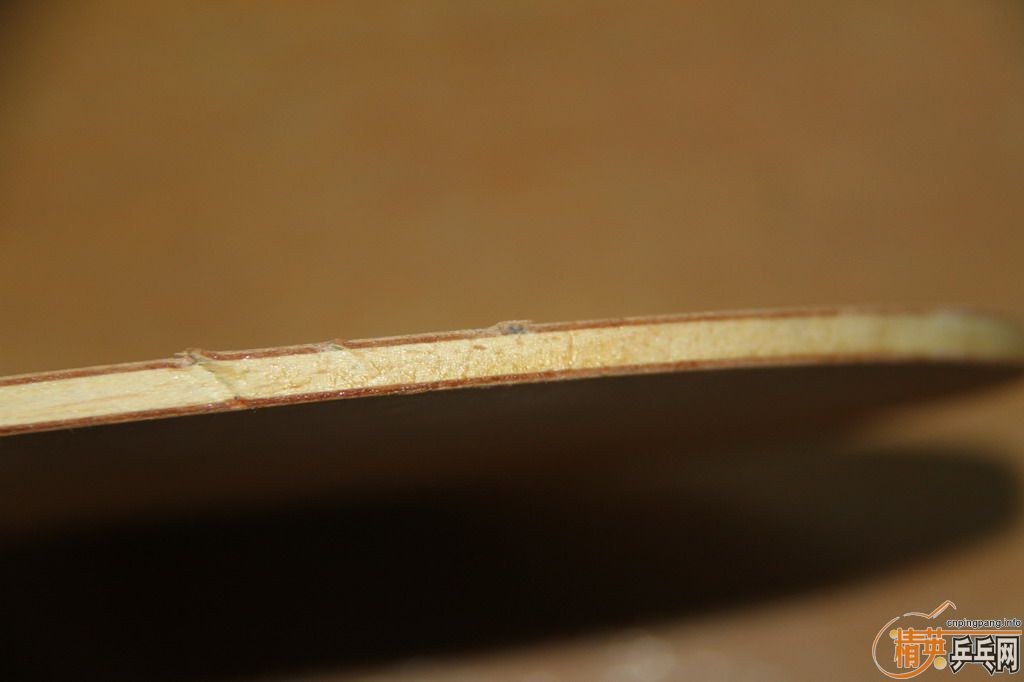 ++++++��--������������������� V3 FL ����壨95�£�190Ԫ����--��388d1��