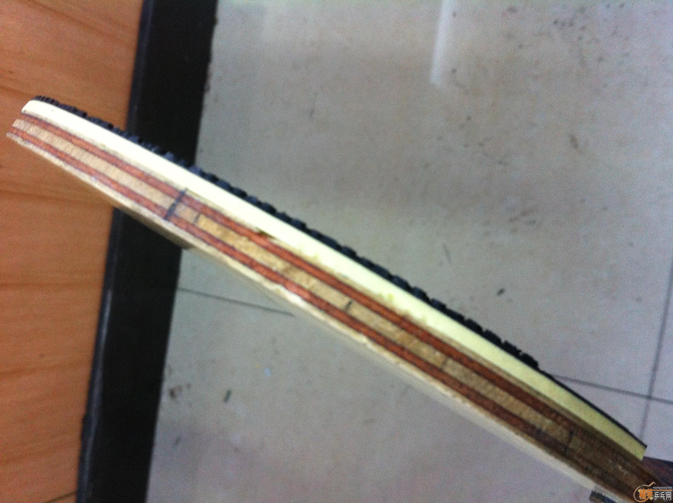 �����ִ���300����