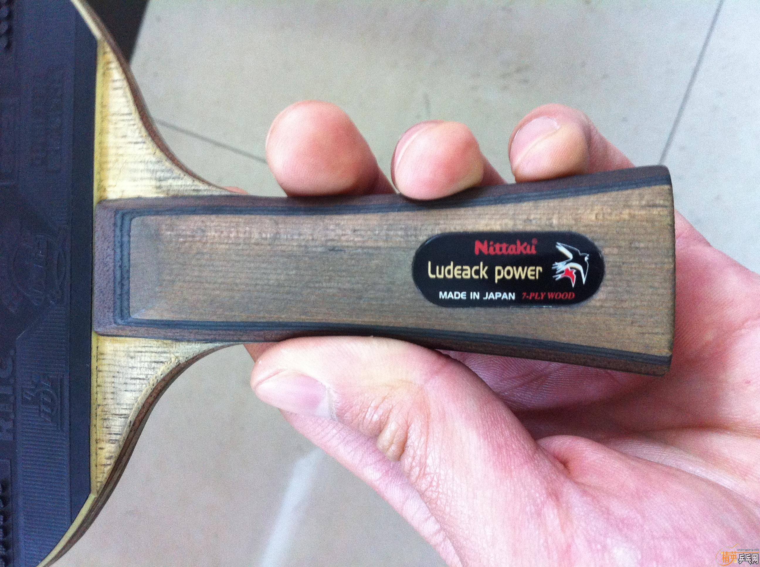 �����ִ���300����