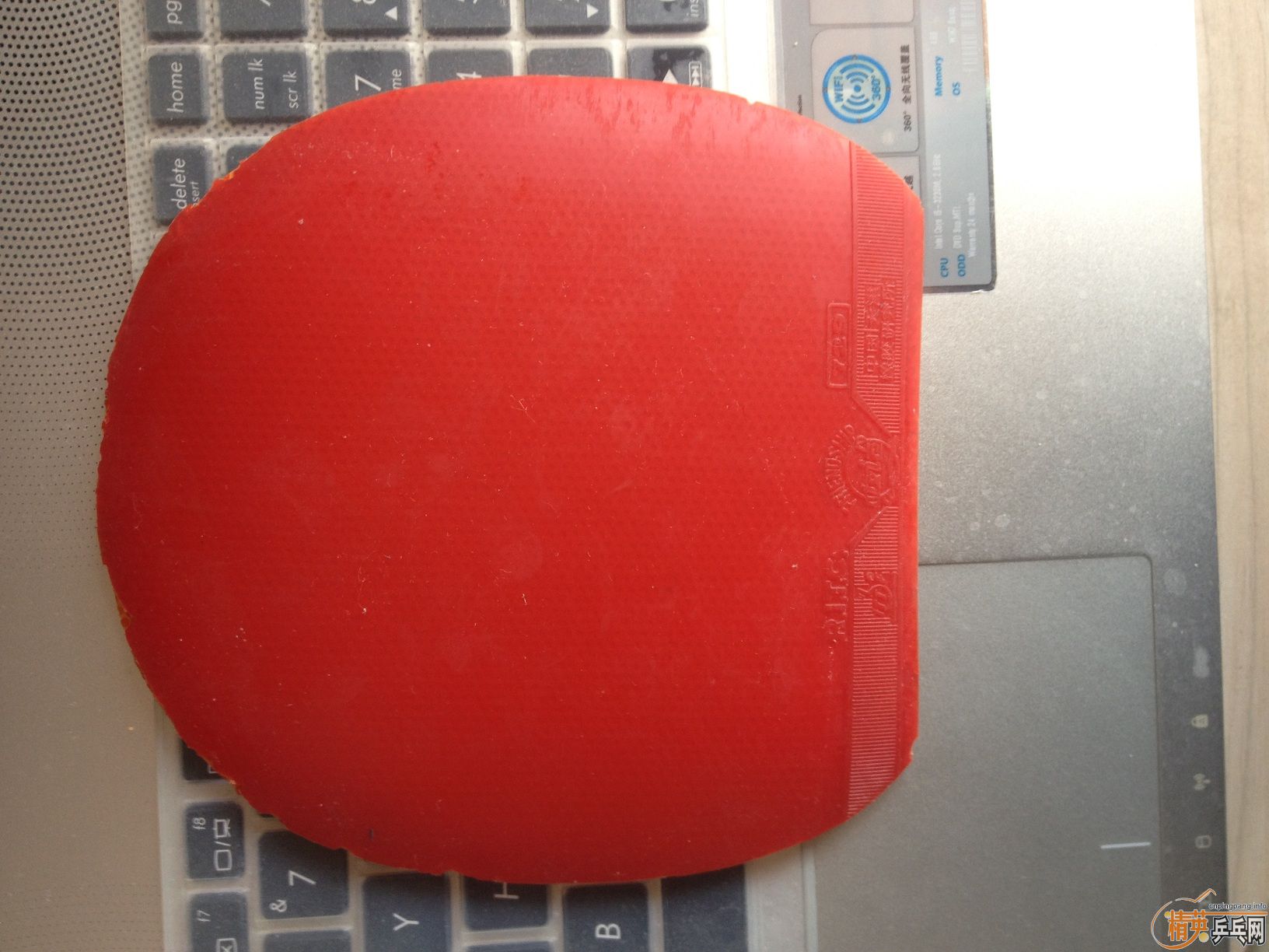 ����EL    729-8   ��һ���׽�����˦   ��ִ�˦���������˳Կ������ϵ�  ~~~~~~~~~~~~~~~~~~~~~~~~~~~~~~~~~~~~~~~~~~~~~~~~~~~~~~~~~~~~~~~~~~~~~~~~~~~~~~~~~~~~~~~~~~~~~~~~~~~~~~~~~~~~~~