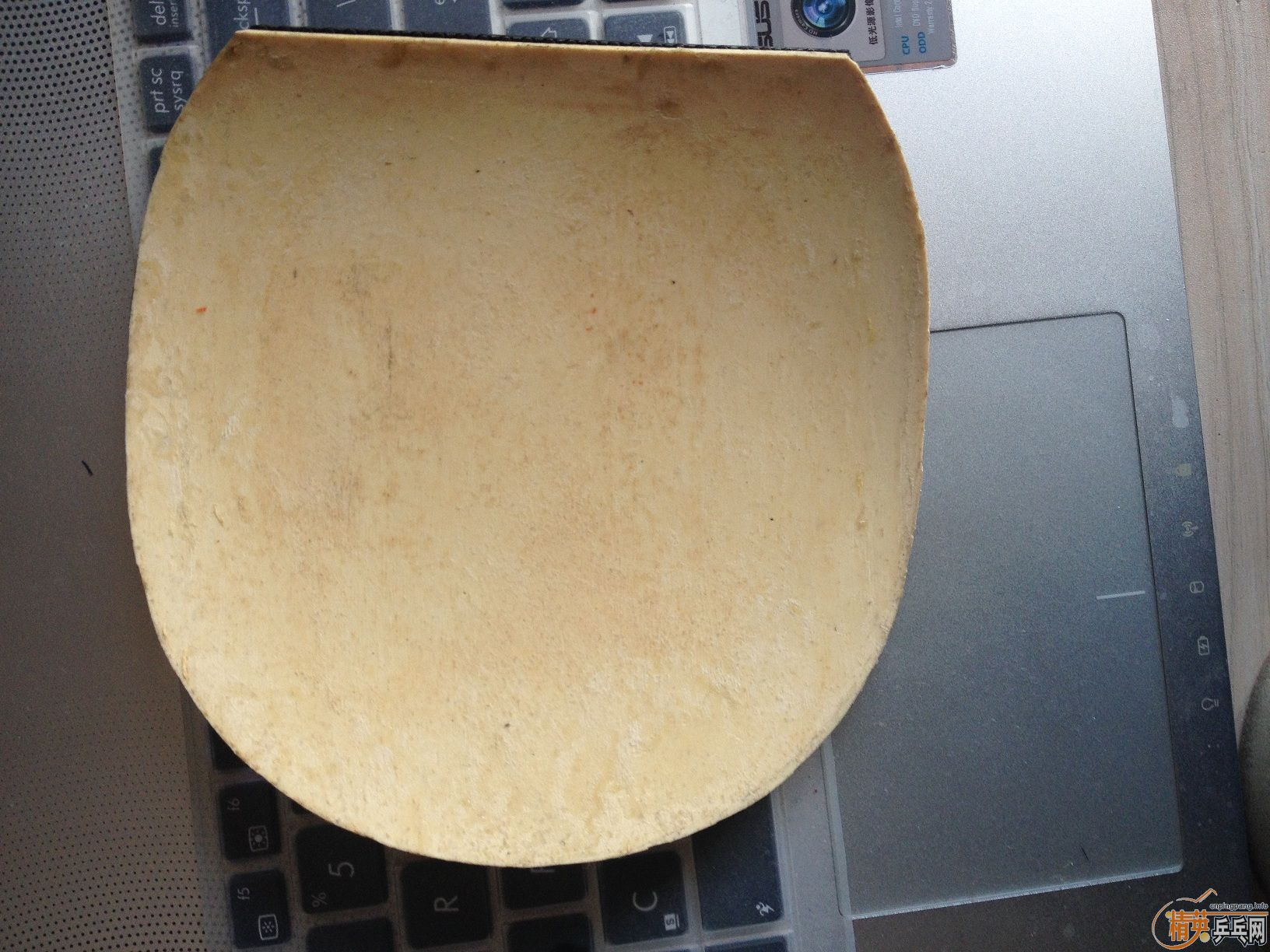 ����EL    729-8   ��һ���׽�����˦   ��ִ�˦���������˳Կ������ϵ�  ~~~~~~~~~~~~~~~~~~~~~~~~~~~~~~~~~~~~~~~~~~~~~~~~~~~~~~~~~~~~~~~~~~~~~~~~~~~~~~~~~~~~~~~~~~~~~~~~~~~~~~~~~~~~~~