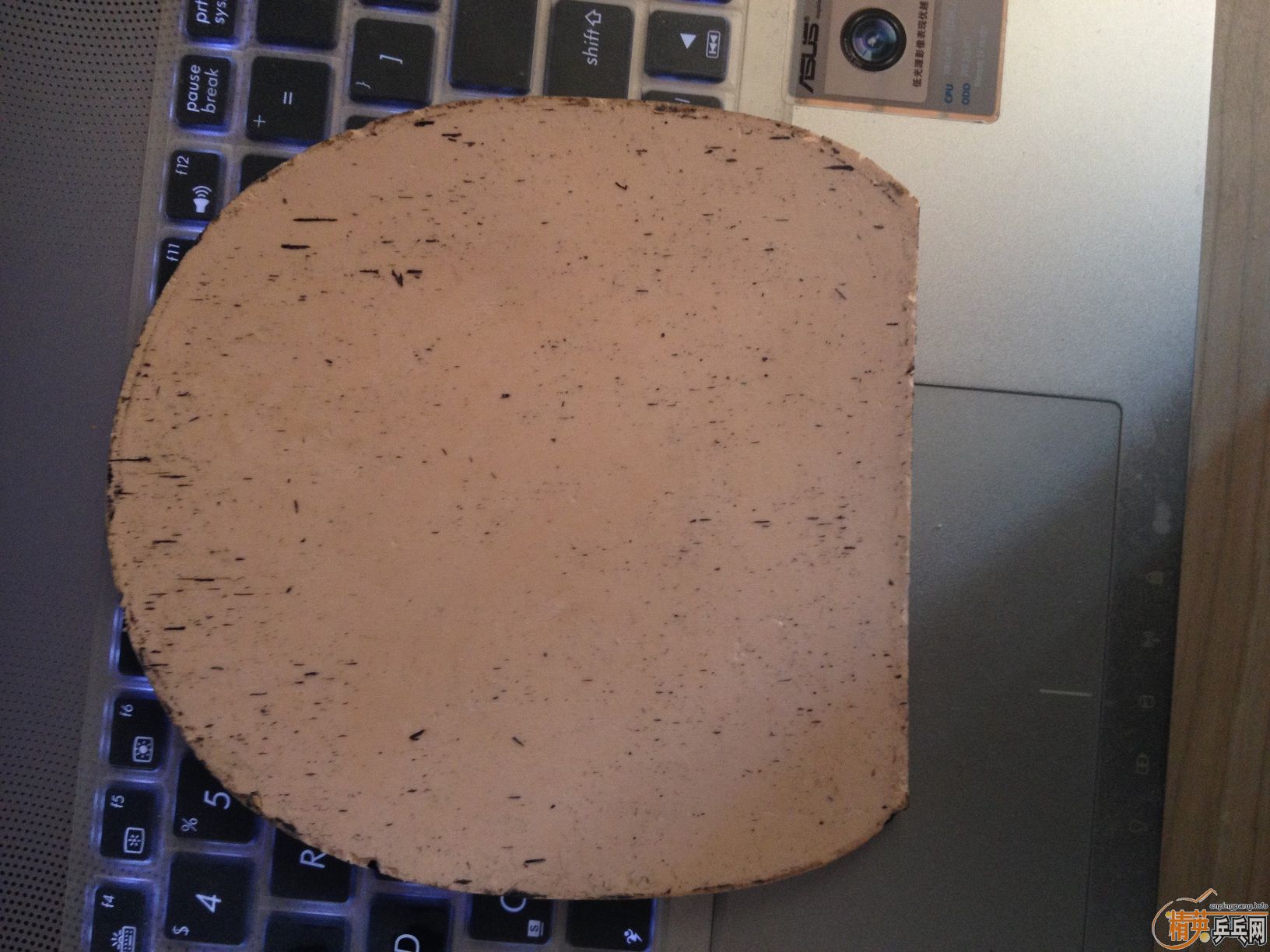 ����EL    729-8   ��һ���׽�����˦   ��ִ�˦���������˳Կ������ϵ�  ~~~~~~~~~~~~~~~~~~~~~~~~~~~~~~~~~~~~~~~~~~~~~~~~~~~~~~~~~~~~~~~~~~~~~~~~~~~~~~~~~~~~~~~~~~~~~~~~~~~~~~~~~~~~~~