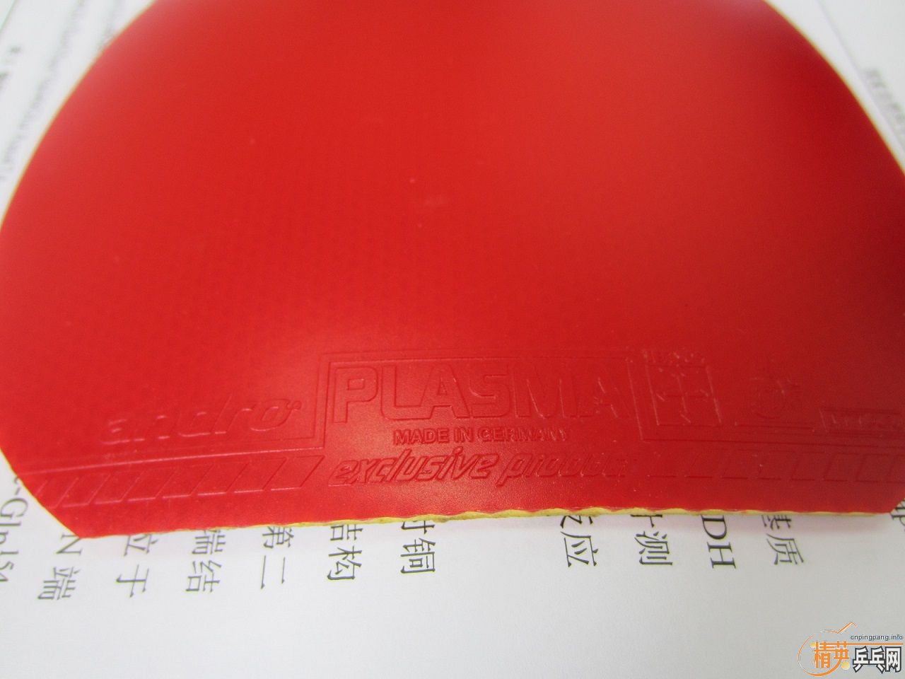 ��ԭ���� ����ɳ��µĽ�Ƥ������470���տ�39�����˳�