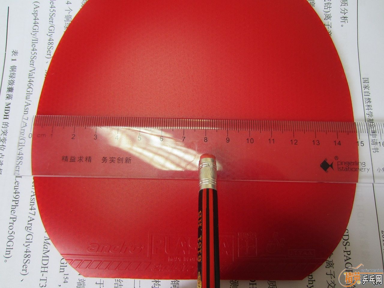 ��ԭ���� ����ɳ��µĽ�Ƥ������470���տ�39�����˳�