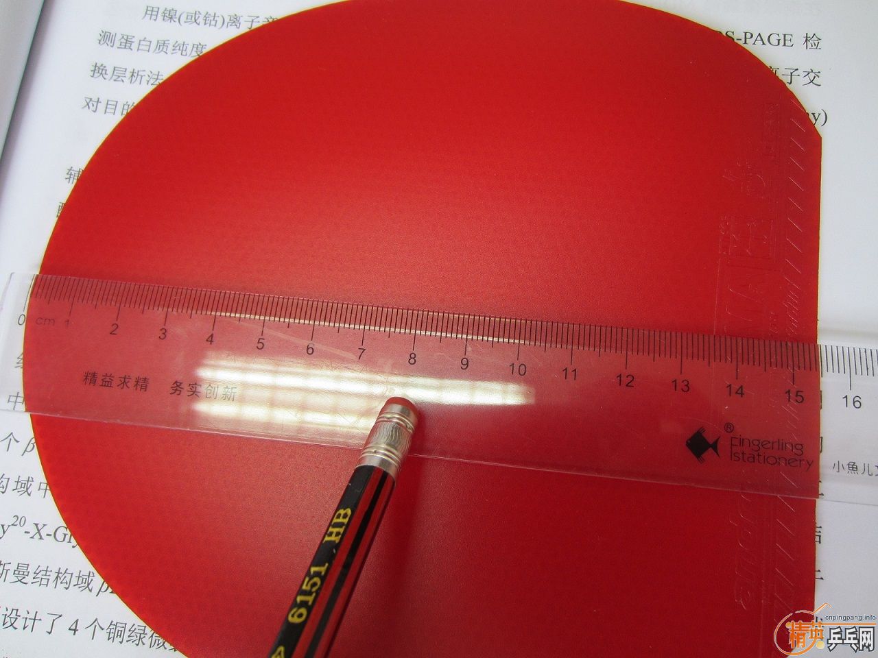 ��ԭ���� ����ɳ��µĽ�Ƥ������470���տ�39�����˳�