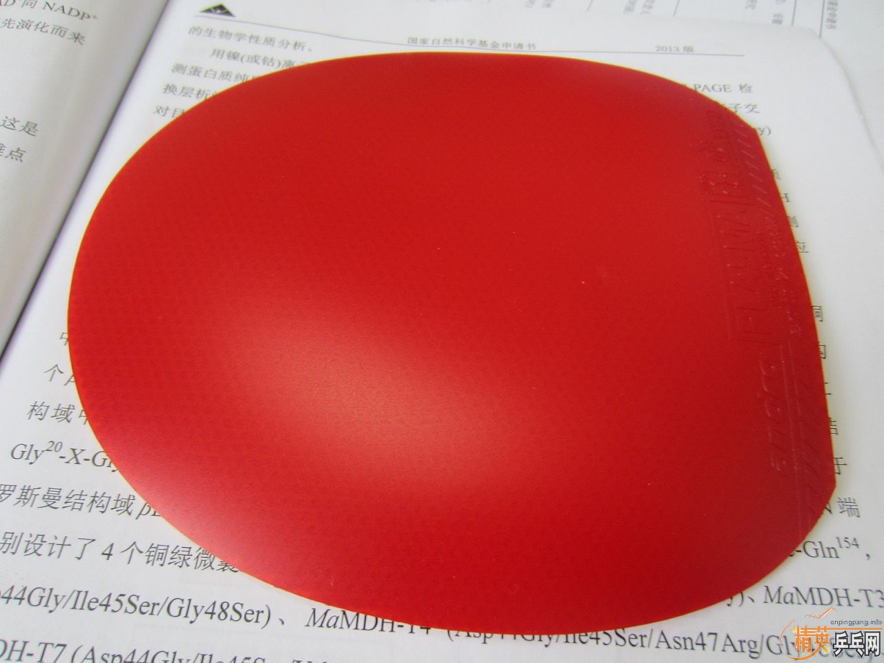 ��ԭ���� ����ɳ��µĽ�Ƥ������470���տ�39�����˳�