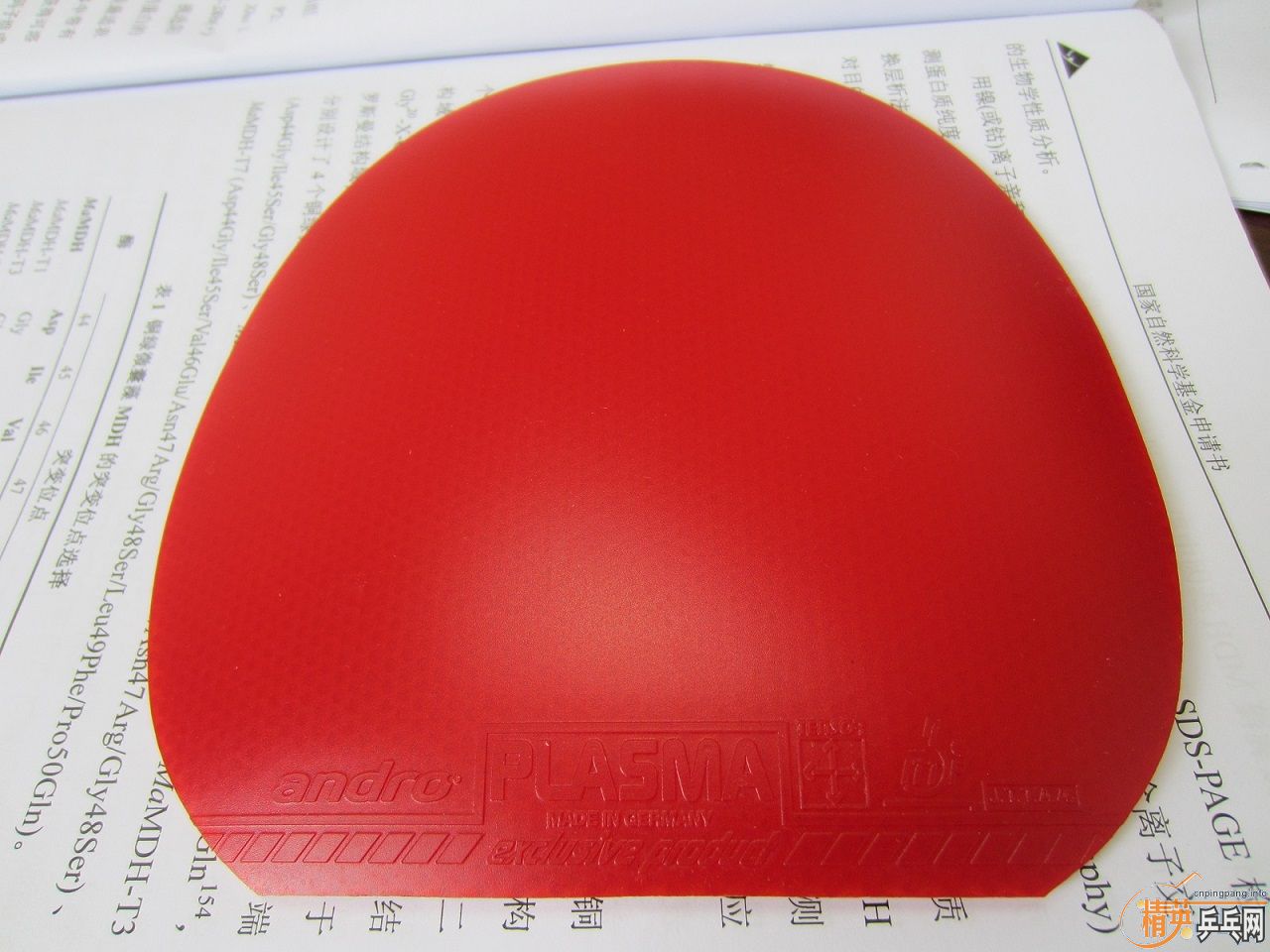 ��ԭ���� ����ɳ��µĽ�Ƥ������470���տ�39�����˳�