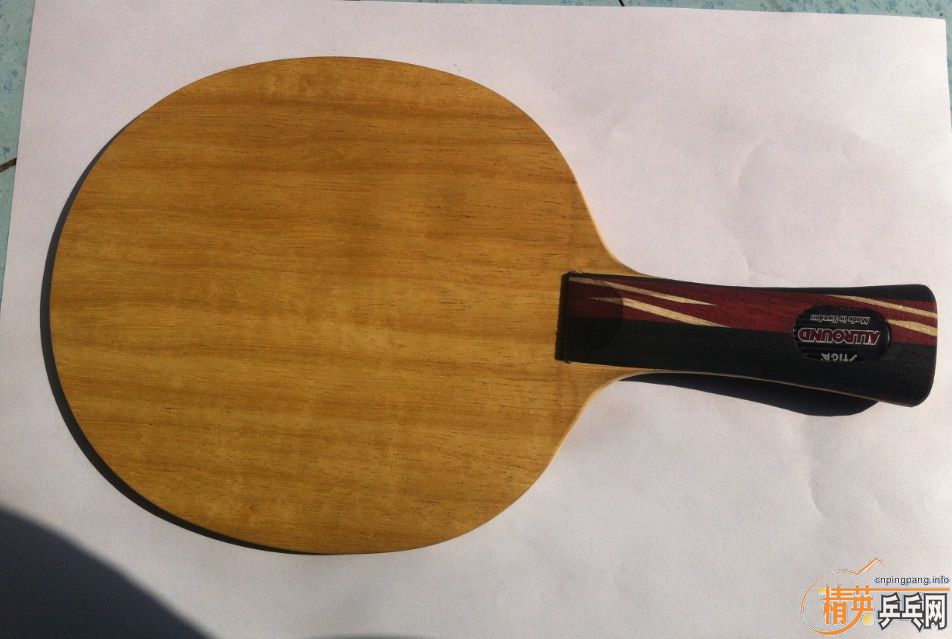 ��4ֻSTIGA(OC,TA,2ֻ��ڣ�