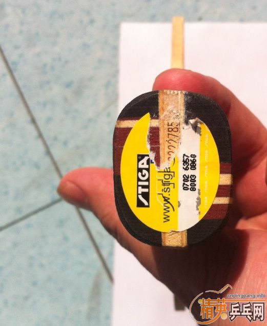 ��4ֻSTIGA(OC,TA,2ֻ��ڣ�