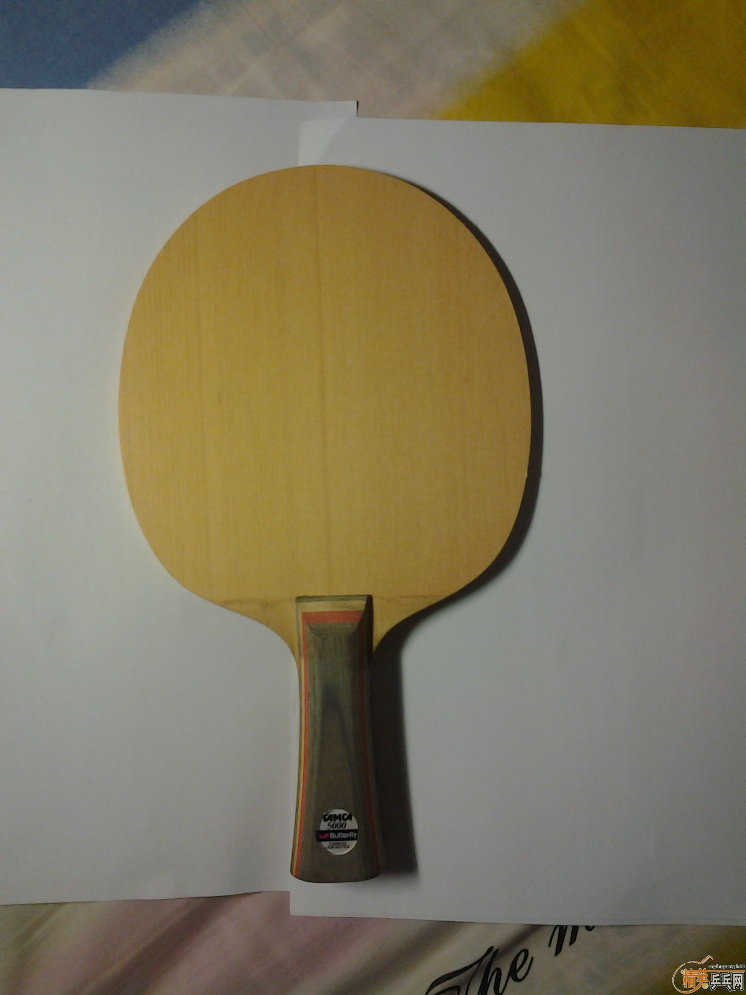 ��9.5������̼��520���ʣ�